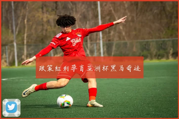 政策红利孕育亚洲杯黑马奇迹