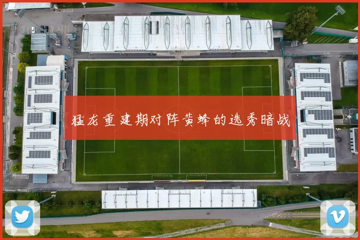 猛龙重建期对阵黄蜂的选秀暗战