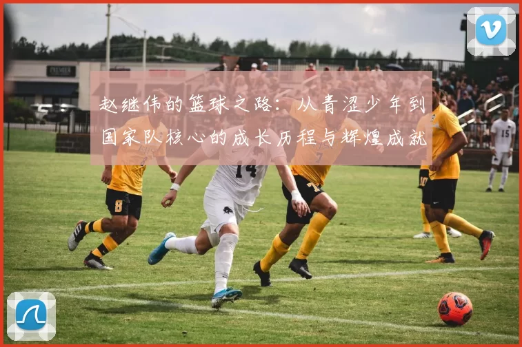 赵继伟的篮球之路：从青涩少年到国家队核心的成长历程与辉煌成就