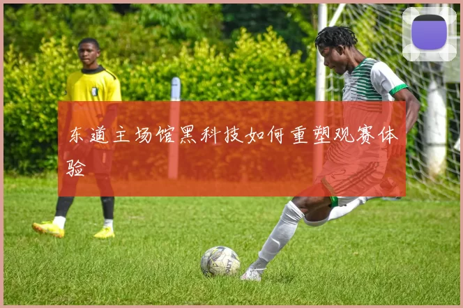 东道主场馆黑科技如何重塑观赛体验