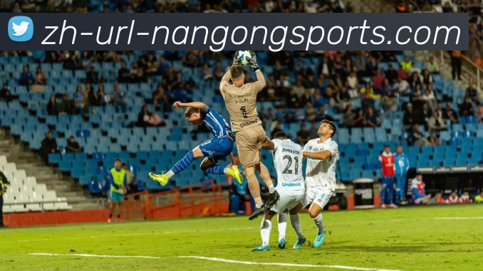 多媒体互动体验